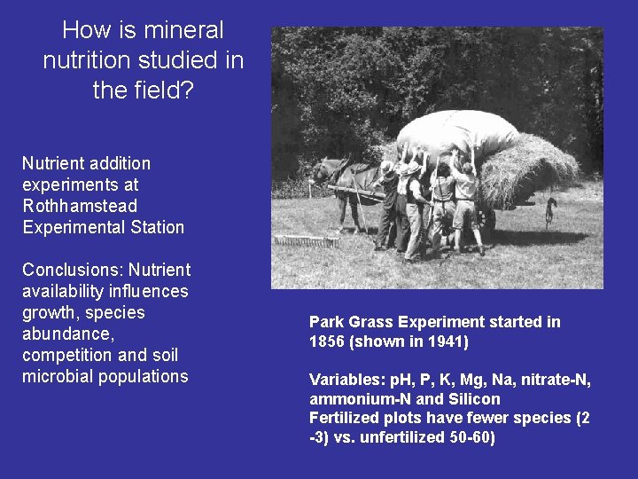 How is mineral nutrition studied in the field? Nutrient addition experiments at Rothhamstead Experimental