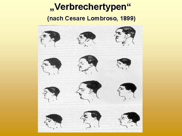 „Verbrechertypen“ (nach Cesare Lombroso, 1899) 