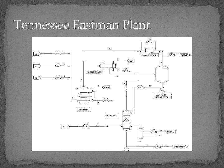 Tennessee Eastman Plant 