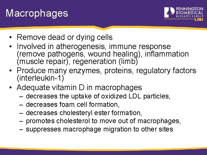 Macrophages • Remove dead or dying cells • Involved in atherogenesis, immune response (remove