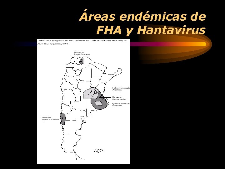 Áreas endémicas de FHA y Hantavirus 