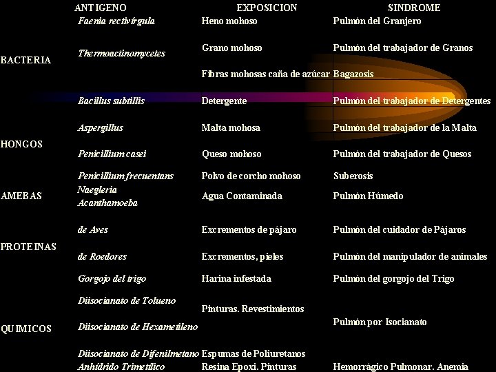 ANTIGENO Faenia rectivírgula BACTERIA Thermoactinomycetes EXPOSICION Heno mohoso SINDROME Pulmón del Granjero Grano mohoso