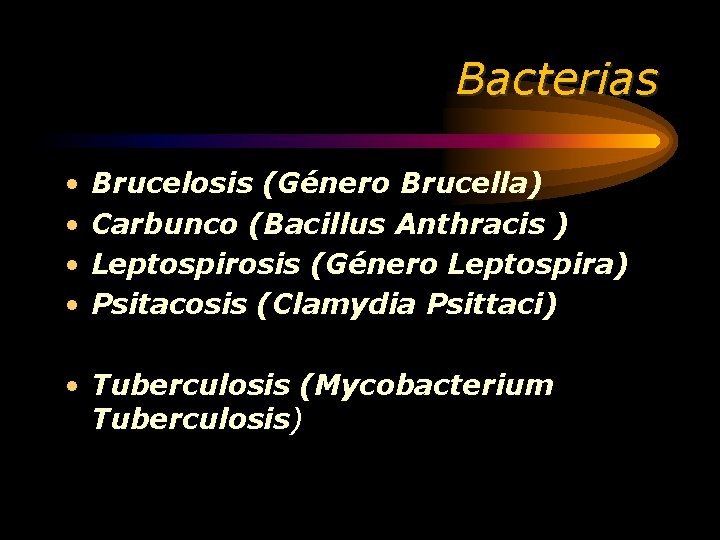 Bacterias • • Brucelosis (Género Brucella) Carbunco (Bacillus Anthracis ) Leptospirosis (Género Leptospira) Psitacosis