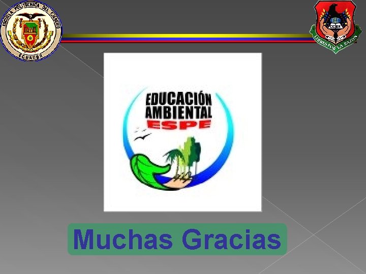 Muchas Gracias 