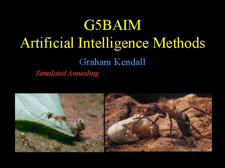 G 5 BAIM Artificial Intelligence Methods Graham Kendall Simulated Annealing 