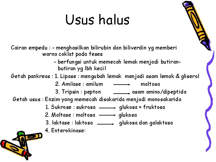 Usus halus Cairan empedu : - menghasilkan bilirubin dan biliverdin yg memberi warna coklat