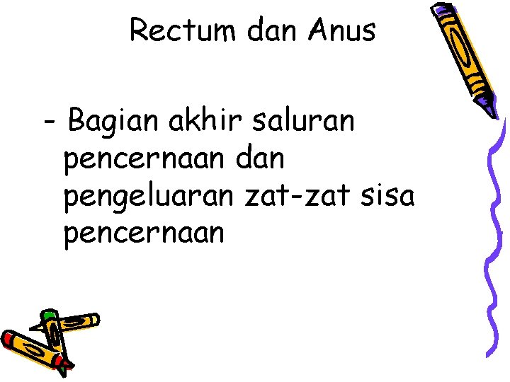 Rectum dan Anus - Bagian akhir saluran pencernaan dan pengeluaran zat-zat sisa pencernaan 