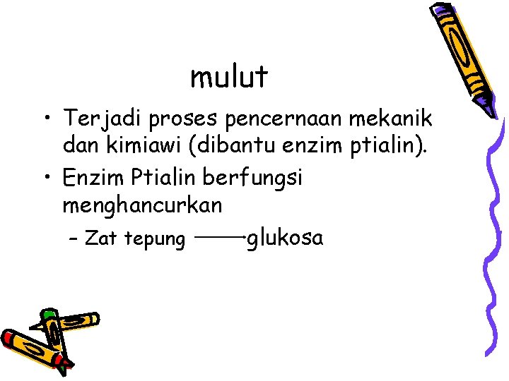 mulut • Terjadi proses pencernaan mekanik dan kimiawi (dibantu enzim ptialin). • Enzim Ptialin