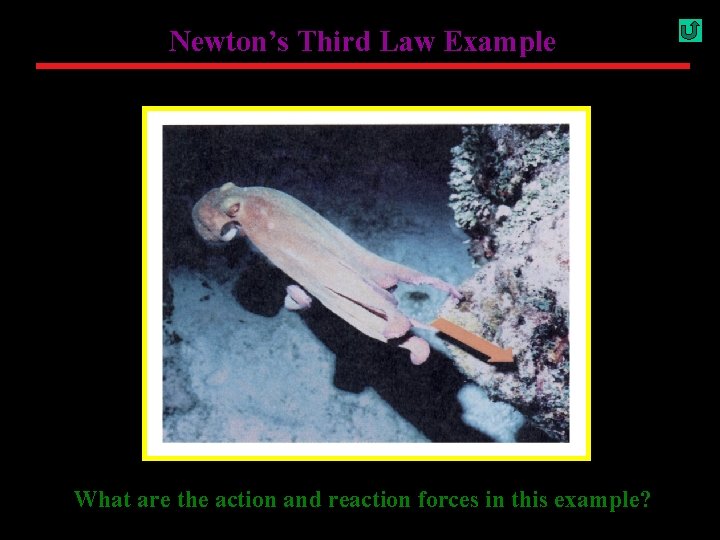 Newton’s Third Law Example What are the action and reaction forces in this example?
