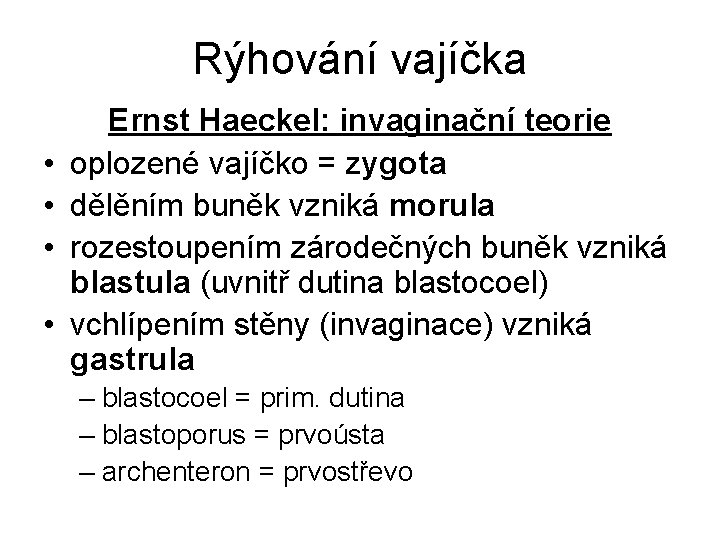 Rýhování vajíčka • • Ernst Haeckel: invaginační teorie oplozené vajíčko = zygota dělěním buněk Rýhování vajíčka • • Ernst Haeckel: invaginační teorie oplozené vajíčko = zygota dělěním buněk