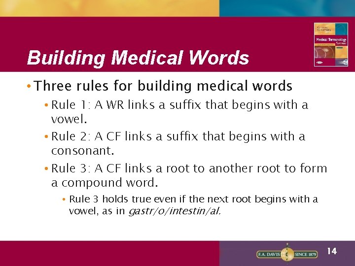 Building Medical Words • Three rules for building medical words • Rule 1: A