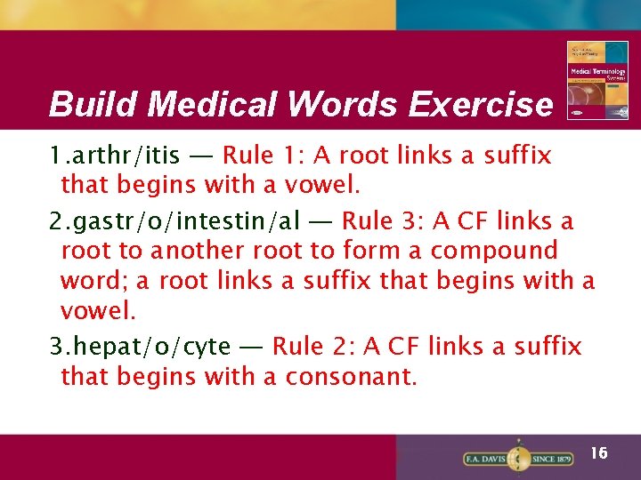 Build Medical Words Exercise 1. arthr/itis — Rule 1: A root links a suffix