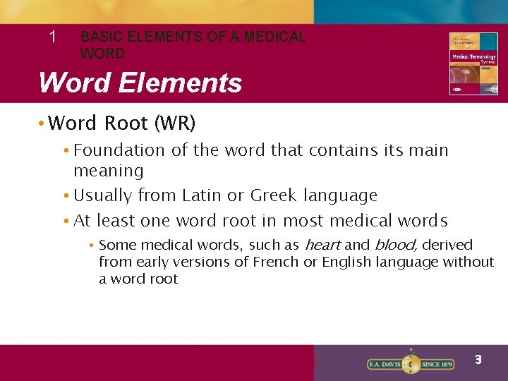 1 BASIC ELEMENTS OF A MEDICAL WORD Word Elements • Word Root (WR) •