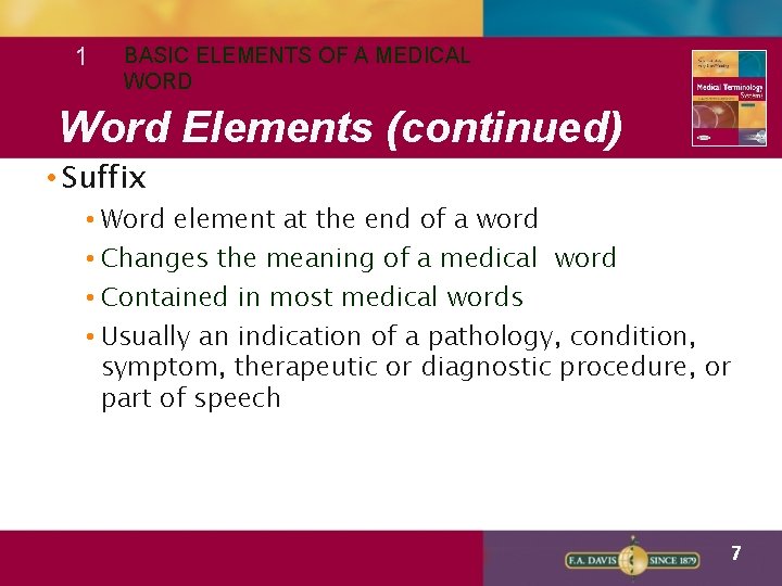 1 BASIC ELEMENTS OF A MEDICAL WORD Word Elements (continued) • Suffix • Word