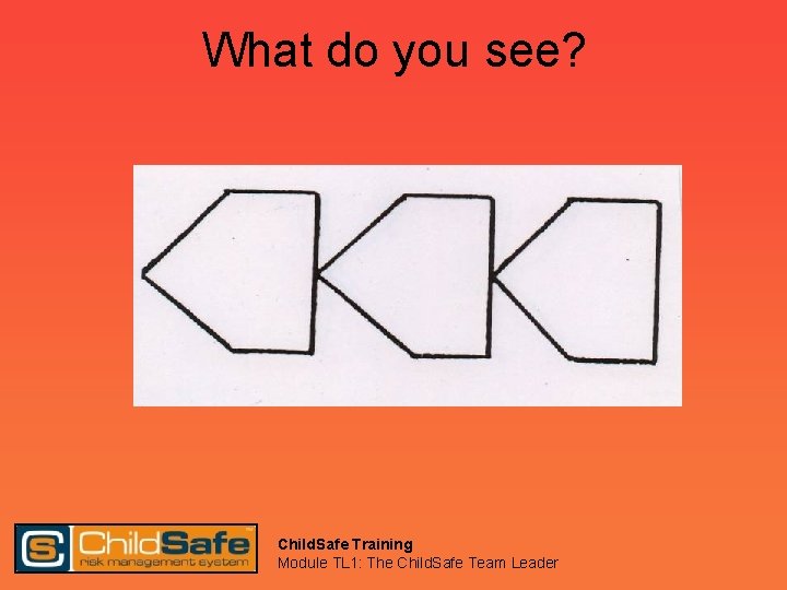 What do you see? Child. Safe Training Module TL 1: The Child. Safe Team