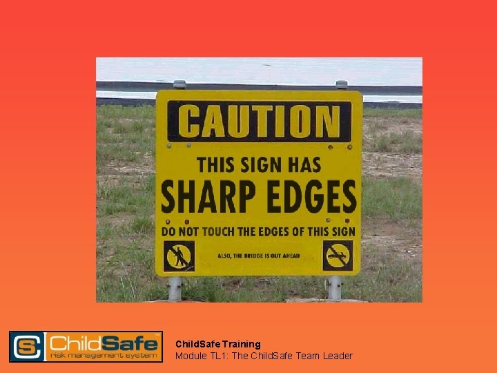 Child. Safe Training Module TL 1: The Child. Safe Team Leader 