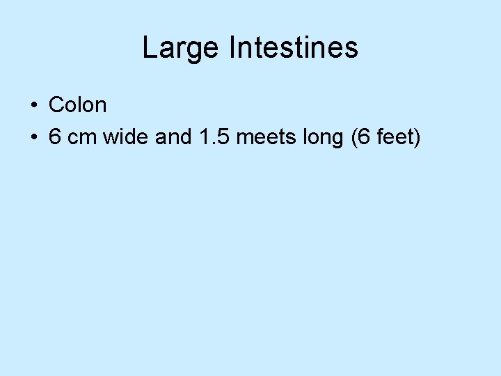 Large Intestines • Colon • 6 cm wide and 1. 5 meets long (6