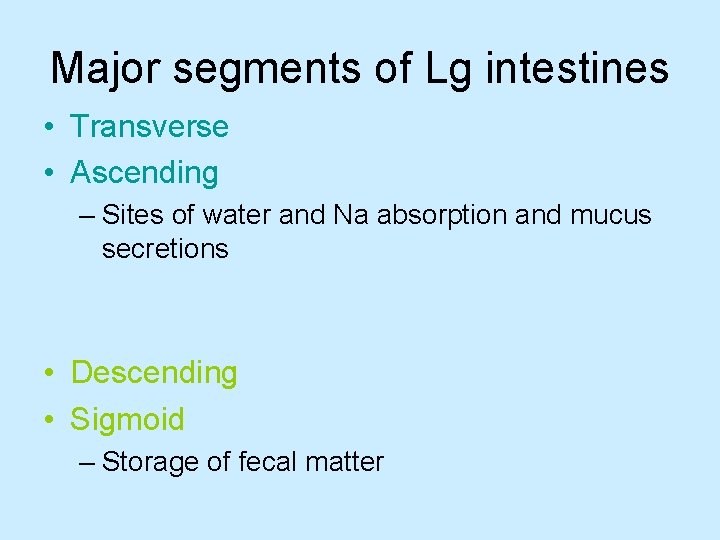Major segments of Lg intestines • Transverse • Ascending – Sites of water and Major segments of Lg intestines • Transverse • Ascending – Sites of water and