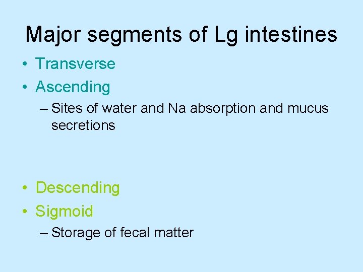 Major segments of Lg intestines • Transverse • Ascending – Sites of water and