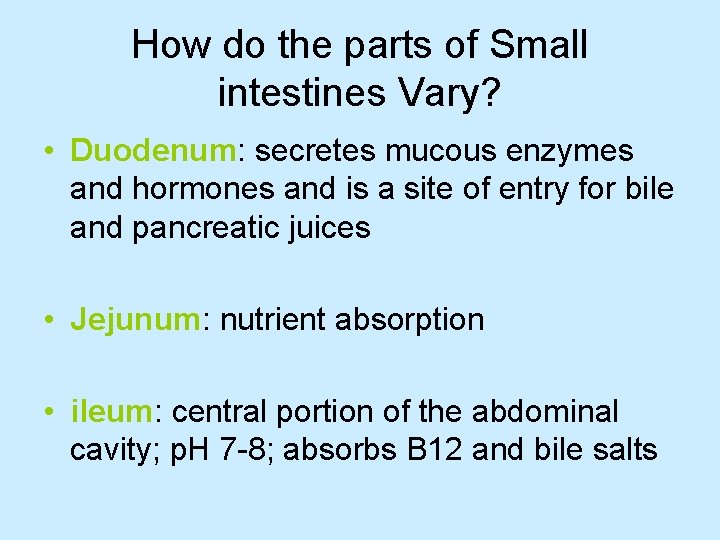 How do the parts of Small intestines Vary? • Duodenum: secretes mucous enzymes and