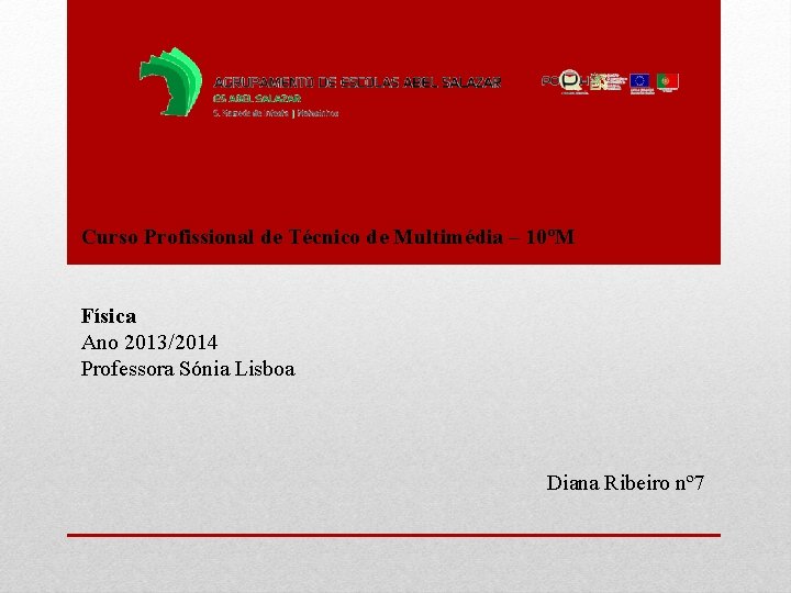 Curso Profissional de Técnico de Multimédia – 10ºM Física Ano 2013/2014 Professora Sónia Lisboa