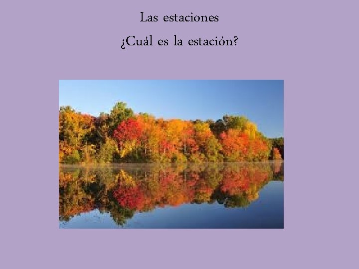 Las estaciones ¿Cuál es la estación? 