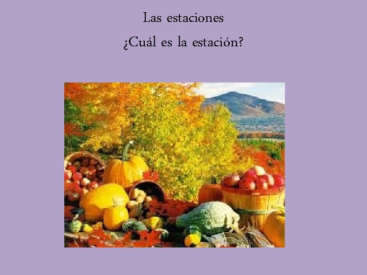 Las estaciones ¿Cuál es la estación? 