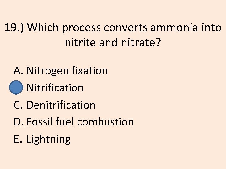 19. ) Which process converts ammonia into nitrite and nitrate? A. Nitrogen fixation B.