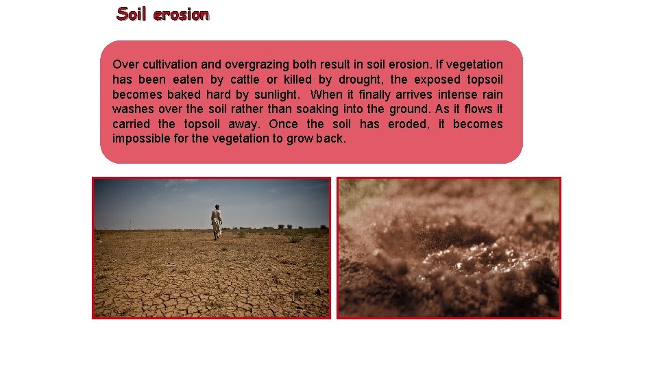 Soil erosion Over cultivation and overgrazing both result in soil erosion. If vegetation has