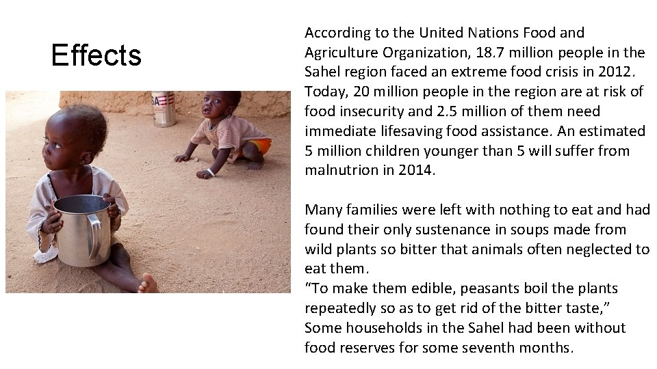 Effects According to the United Nations Food and Agriculture Organization, 18. 7 million people