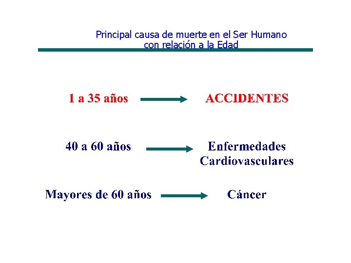 Principal causa de muerte en el Ser Humano con relación a la Edad 8