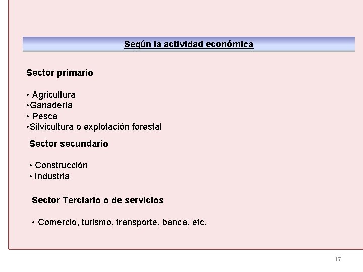 Según la actividad económica Sector primario • Agricultura • Ganadería • Pesca • Silvicultura