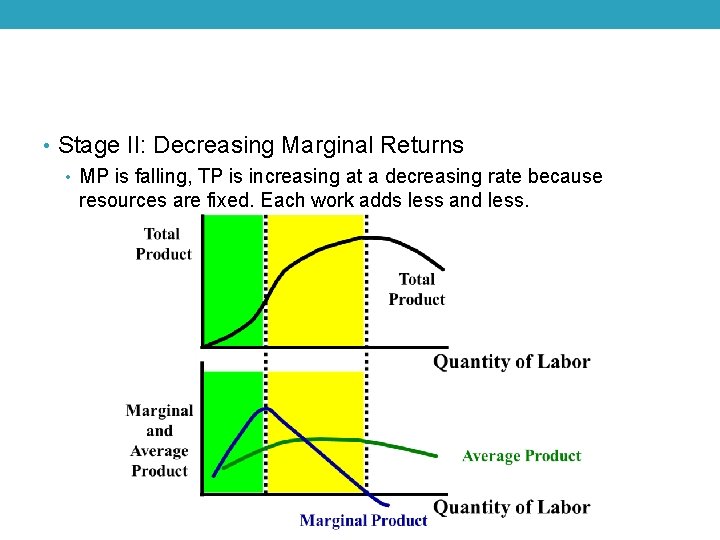  • Stage II: Decreasing Marginal Returns • MP is falling, TP is increasing