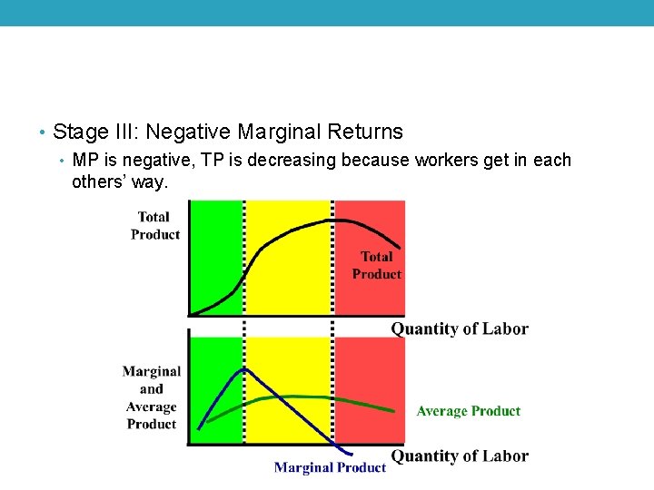  • Stage III: Negative Marginal Returns • MP is negative, TP is decreasing