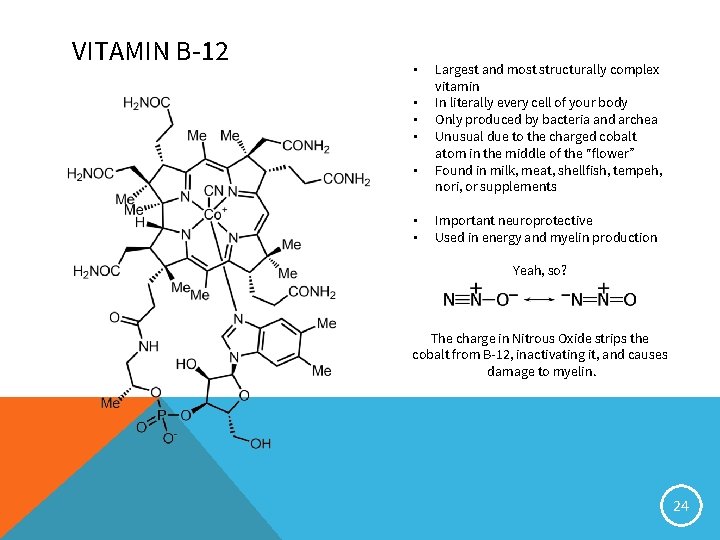 VITAMIN B-12 • • Largest and most structurally complex vitamin In literally every cell