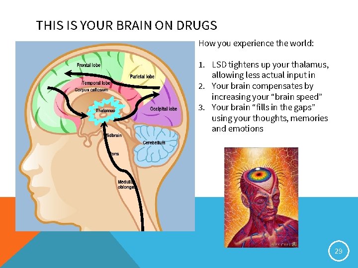 THIS IS YOUR BRAIN ON DRUGS How you experience the world: 1. LSD tightens