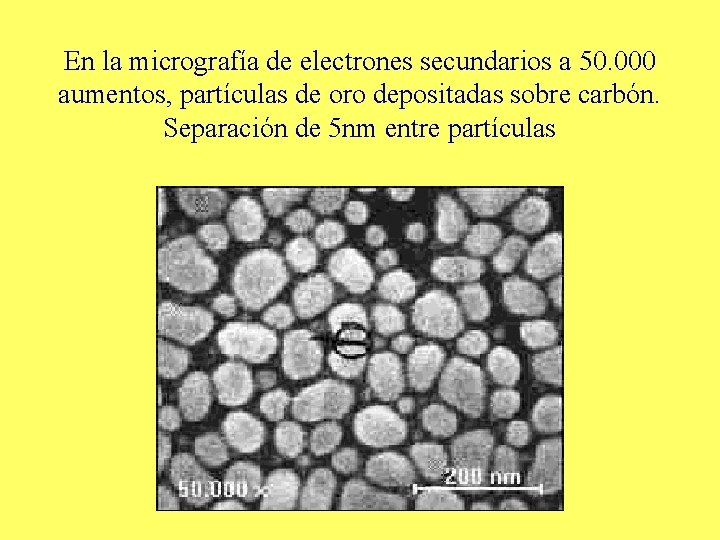En la micrografía de electrones secundarios a 50. 000 aumentos, partículas de oro depositadas
