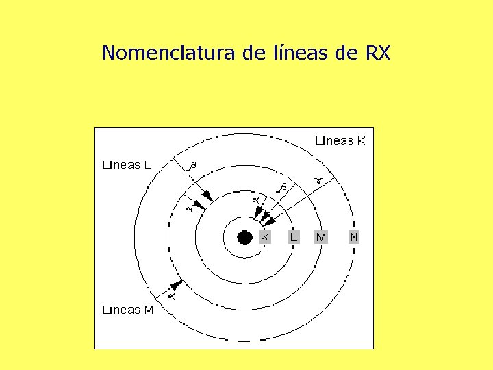 Nomenclatura de líneas de RX 