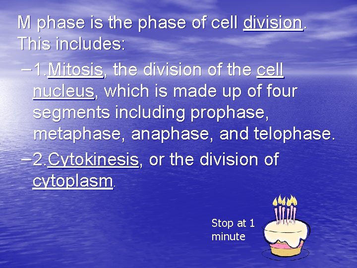 M phase is the phase of cell division. This includes: – 1. Mitosis, the