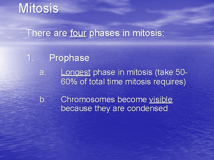 Mitosis There are four phases in mitosis: 1. Prophase a. Longest phase in mitosis