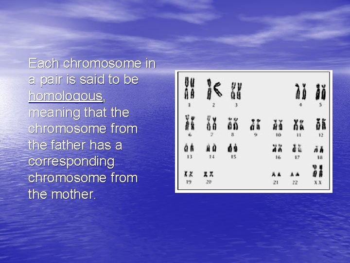 Each chromosome in a pair is said to be homologous, meaning that the chromosome