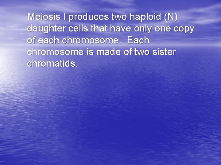 Meiosis I produces two haploid (N) daughter cells that have only one copy of