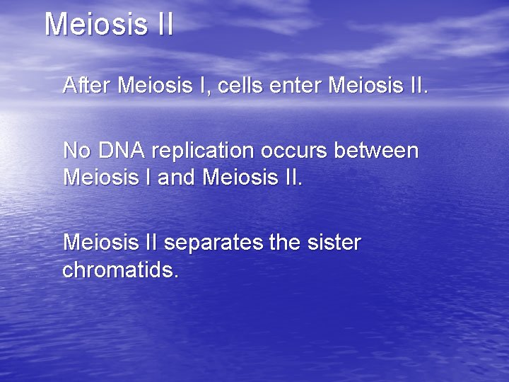 Meiosis II After Meiosis I, cells enter Meiosis II. No DNA replication occurs between
