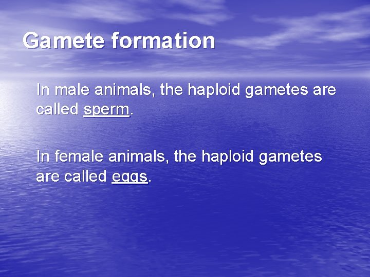 Gamete formation In male animals, the haploid gametes are called sperm. In female animals,