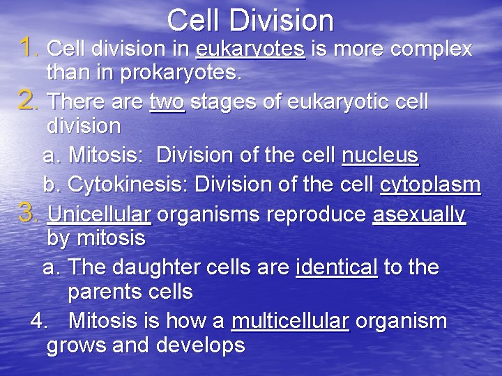 Cell Division 1. Cell division in eukaryotes is more complex than in prokaryotes. 2.