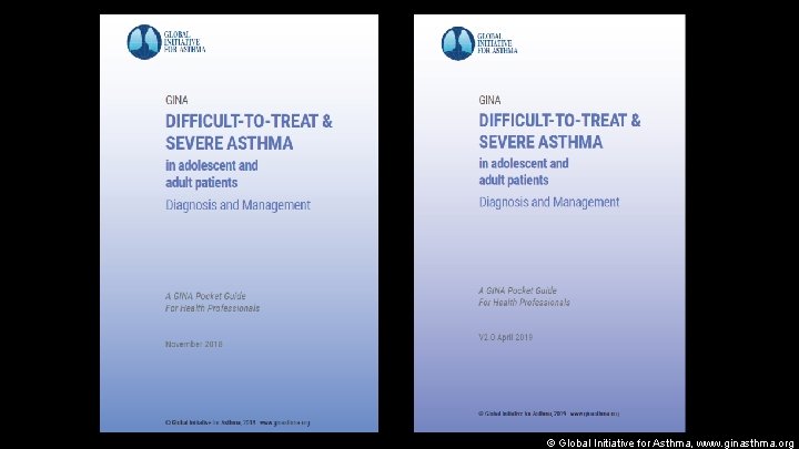 © Global Initiative for Asthma, www. ginasthma. org 