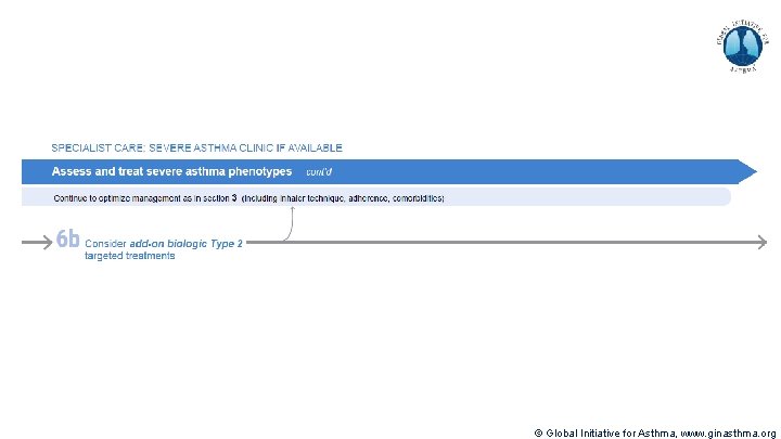 © Global Initiative for Asthma, www. ginasthma. org 