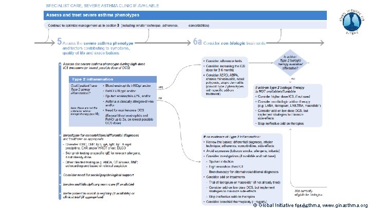 © Global Initiative for Asthma, www. ginasthma. org 