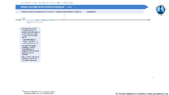 © Global Initiative for Asthma, www. ginasthma. org 