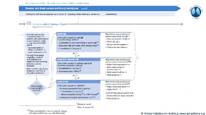 © Global Initiative for Asthma, www. ginasthma. org 